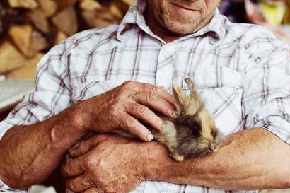 lippenof_zillertal_bauernhof_hase.jpg