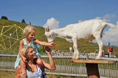 Streichelzoo-Spieljoch-cWoergetterfriends_erste_ferienregion_zillertal.jpg